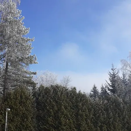 Bojana זלאטיבור