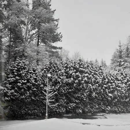 דירה Bojana זלאטיבור