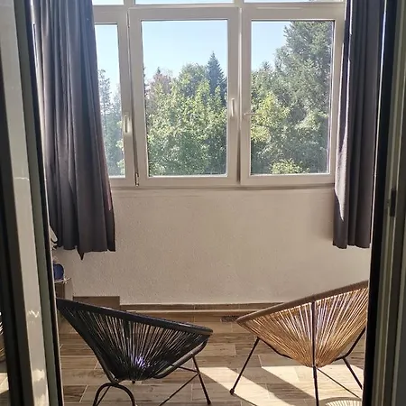 Bojana * זלאטיבור