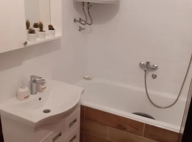 Bojana Daire Zlatibor