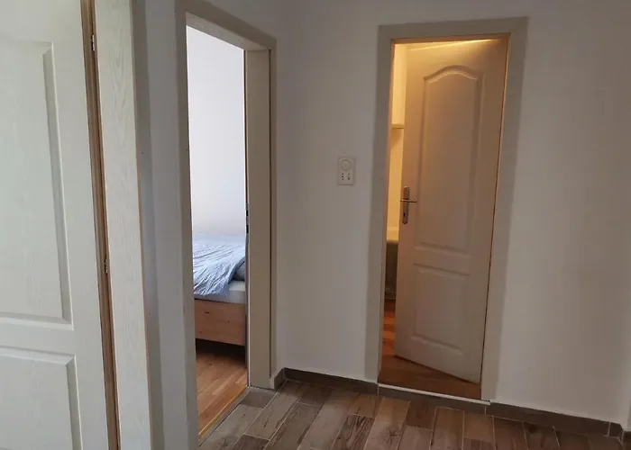 Bojana Daire Zlatibor